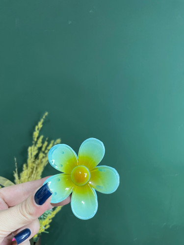 گیره سر کلیپس مو گلی دخترانه پلاستیکی